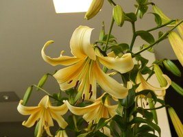 Foto: Dr. Peter Müller